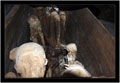 Mumie v jeskyni na konci cesty.