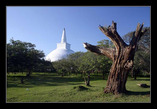 Sri Lanka. leden 2008